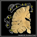 %_tempFileNameN1A3P10%