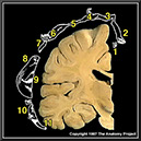 %_tempFileNameN1A3P11%