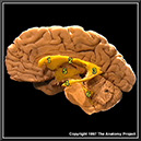 %_tempFileNameN1A4P1%