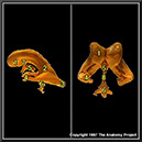 %_tempFileNameN1A4P2%