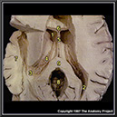 %_tempFileNameN1A4P5%