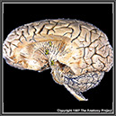 %_tempFileNameN1A5P3%