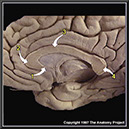 %_tempFileNameN1A5P4%