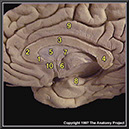 %_tempFileNameN1A5P8%