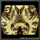 %_tempFileNameN1A6P4%