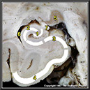 %_tempFileNameN1A7P4%