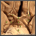 %_tempFileNameN1A8P1%