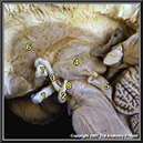 %_tempFileNameN1A8P3%