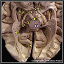 %_tempFileNameN1A8P4%