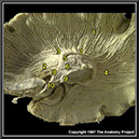 %_tempFileNameN1A8P5%