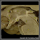 %_tempFileNameN1A8P6%