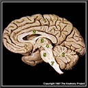 %_tempFileNameN2A1P1%