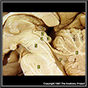 %_tempFileNameN2A1P2%