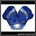 %_tempFileNameN2A1P5%