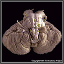 %_tempFileNameN2A2P2%