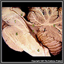 %_tempFileNameN2A3P1%