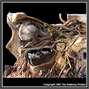 %_tempFileNameN2A4P2%