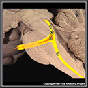 %_tempFileNameN2A4P5%