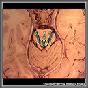 %_tempFileNameN2A4P6%