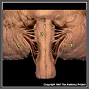 %_tempFileNameN2A5P1%