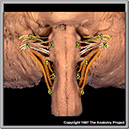 %_tempFileNameN2A6P1%
