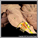 %_tempFileNameN2A6P2%