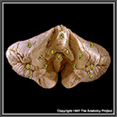 %_tempFileNameN2A7P4%