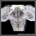 %_tempFileNameN2A7P9%