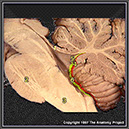 %_tempFileNameN2A8P1%