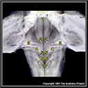 %_tempFileNameN2A8P2%