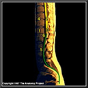 %_tempFileNameN3A2P5%