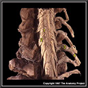 %_tempFileNameN3A5P2%