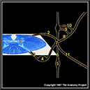 %_tempFileNameN3A6p1%