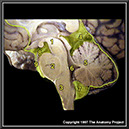 %_tempFileNameN3A7p7%