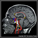 %_tempFileNameN3A8p1%