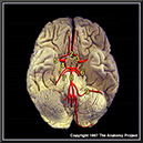 %_tempFileNameN3A8p2%