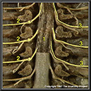 %_tempFileNamen1a1p15%