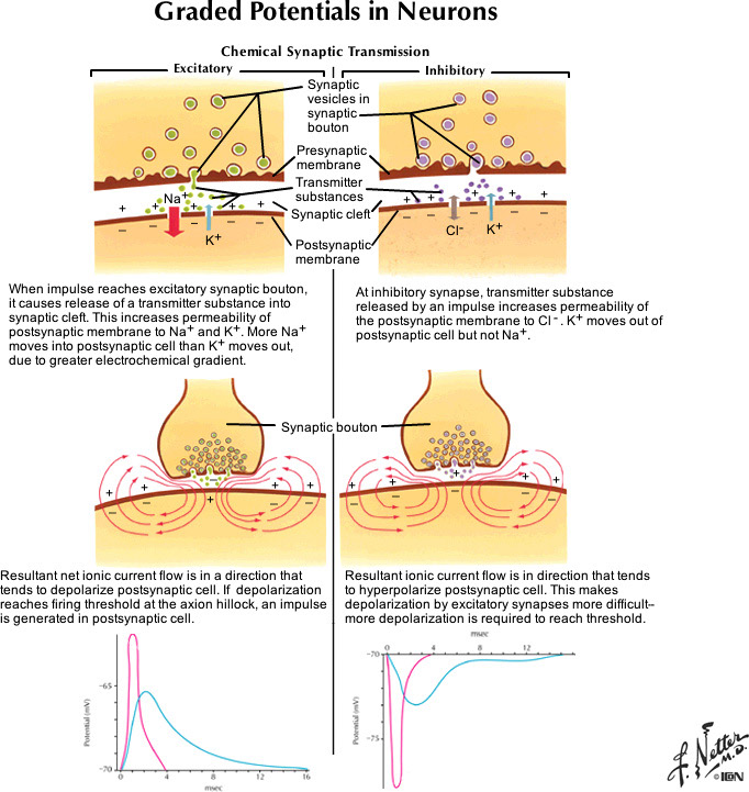 %_tempFileNameFigureI.11_l%