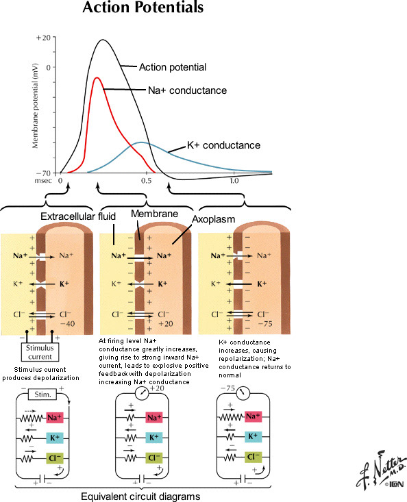 %_tempFileNameFigureI.12_l%