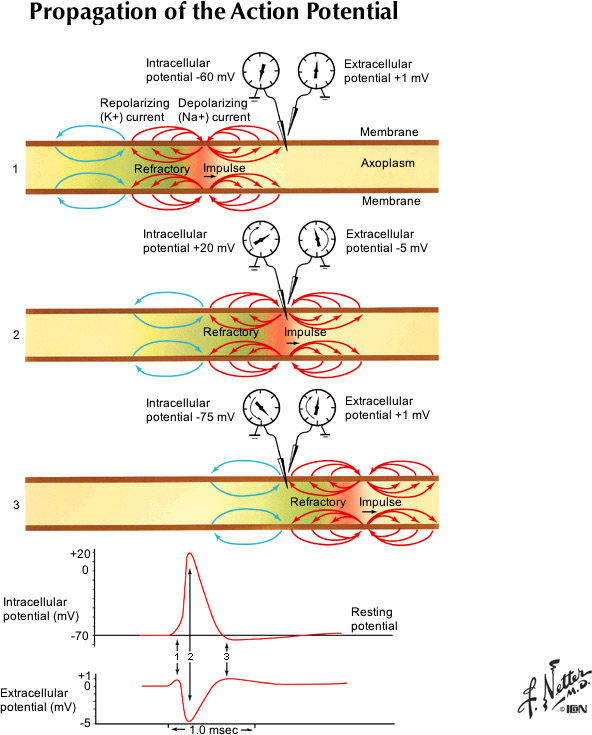 %_tempFileNameFigureI.13_l%