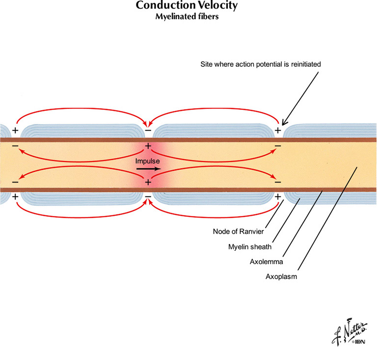 %_tempFileNameFigureI.14A_l%