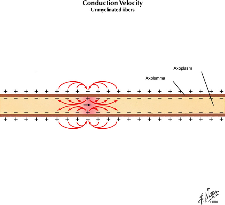 %_tempFileNameFigureI.14B_l%