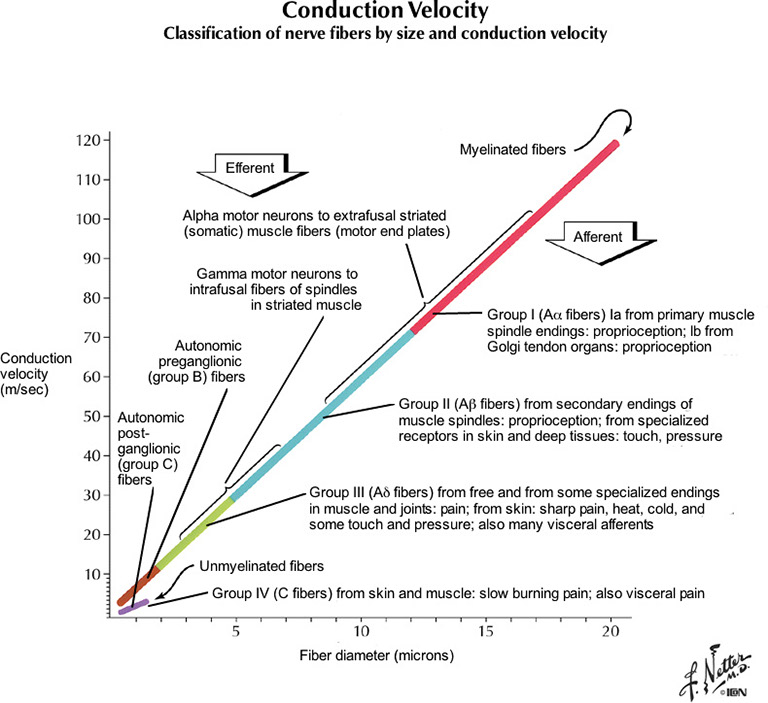 %_tempFileNameFigureI.14C_l%