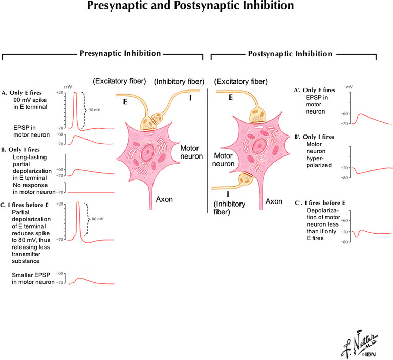 %_tempFileNameFigureI.15_l%