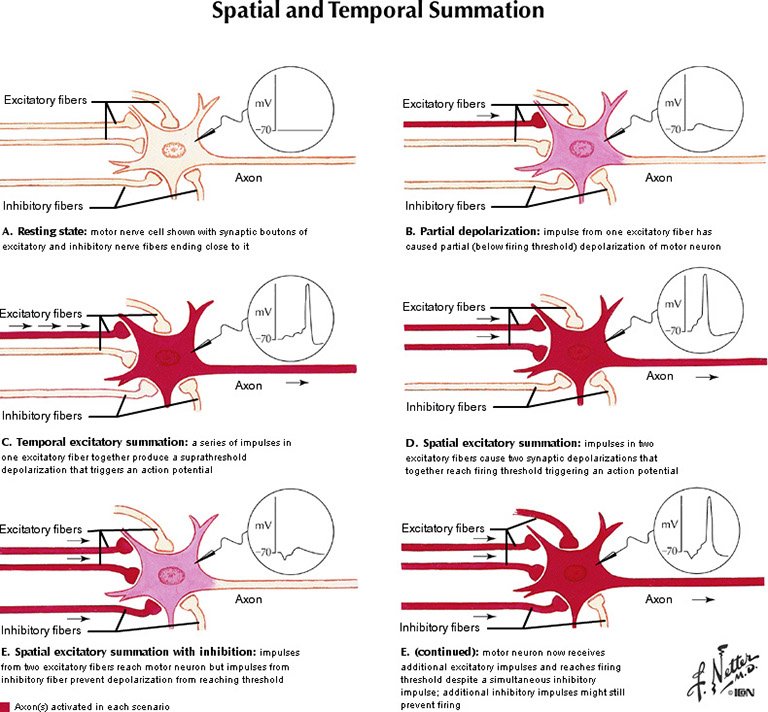 %_tempFileNameFigureI.16_l%