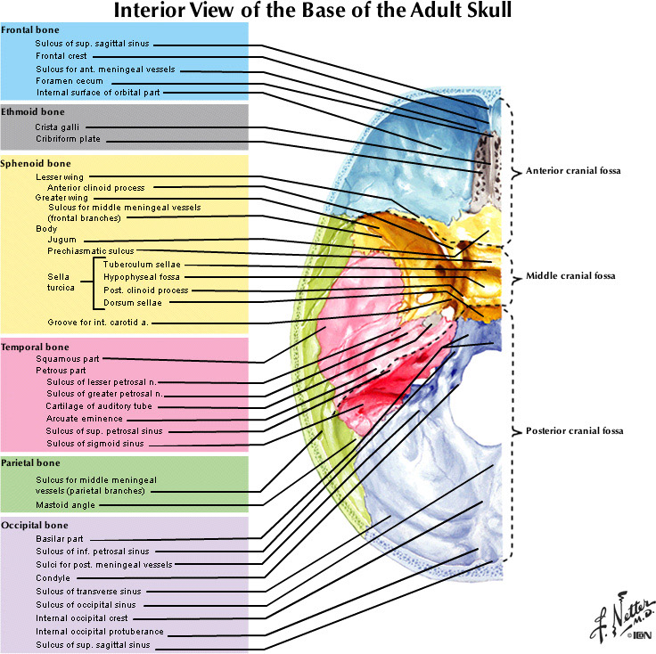 %_tempFileNameFigureI.17_l%