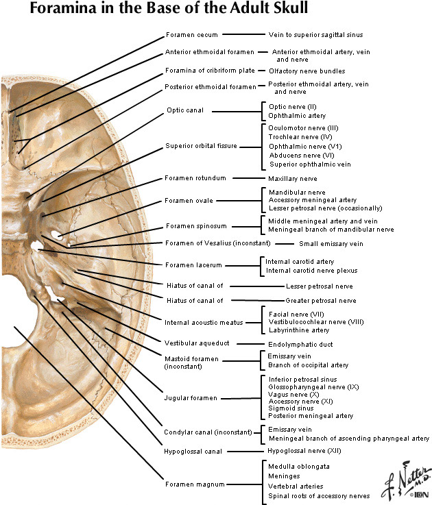 %_tempFileNameFigureI.18_l%