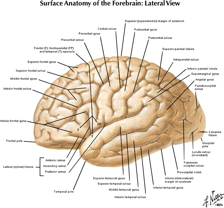 %_tempFileNameFigureI.19A_l%