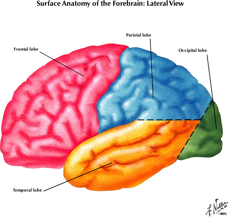 %_tempFileNameFigureI.19B_l%