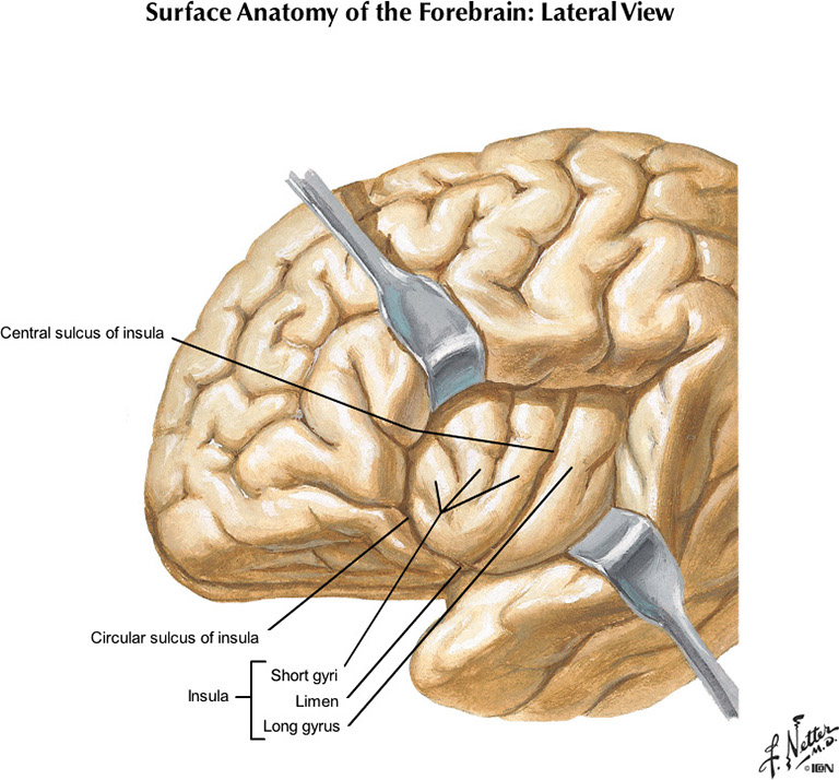 %_tempFileNameFigureI.19C_l%